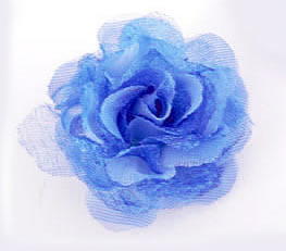 Kleine roos blauw