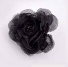 Kleine roos zwart