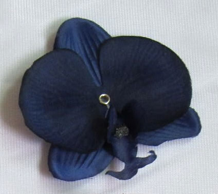 Orchidee donker-blauw