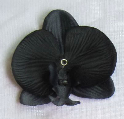 Orchidee zwart
